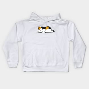 Calico Chub Cat Kids Hoodie